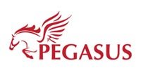 0_0051_Pegasus